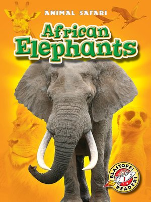African Elephants - ebook